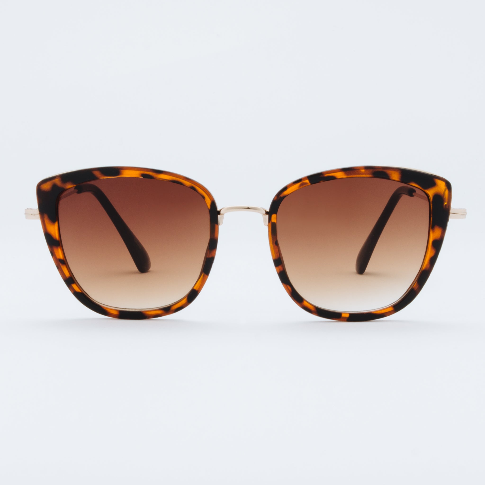 Tortoise and Amber