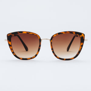 Tortoise and Amber